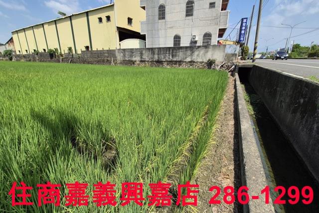 嘉義農地-5