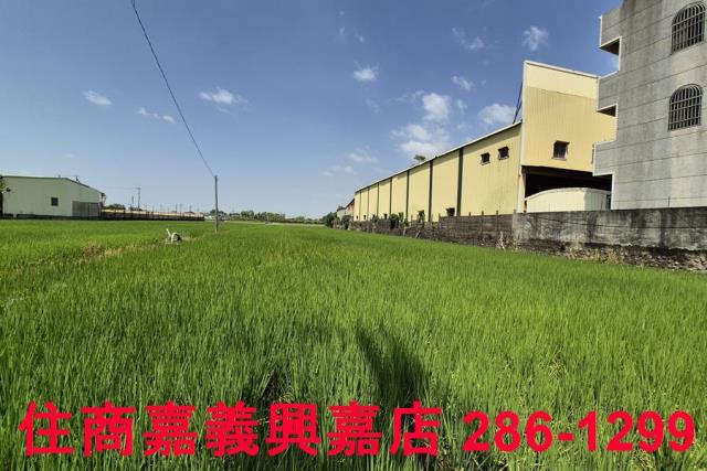 嘉義農地-6