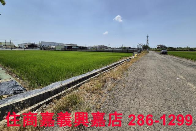 嘉義農地-7