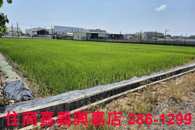 嘉義農地-8