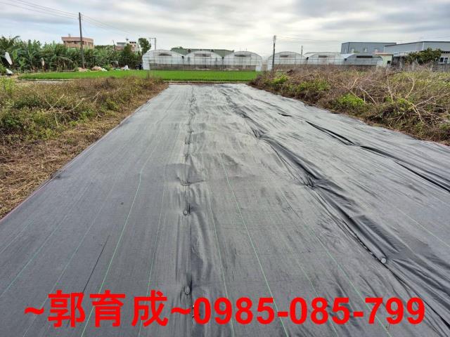 嘉義西區農地-1