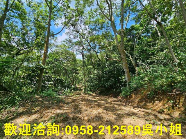 新竹關西山坡地-1