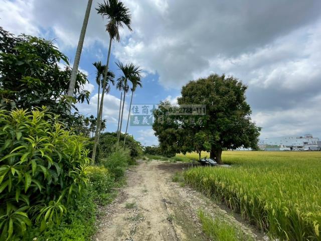 嘉義西區農地-3