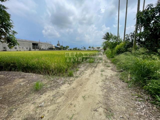 嘉義西區農地-6