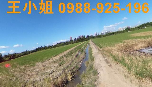 桃園區農地-5