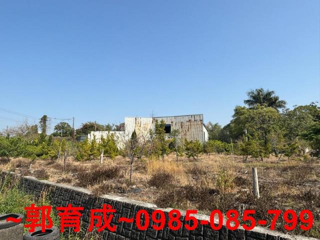 西區農地-2