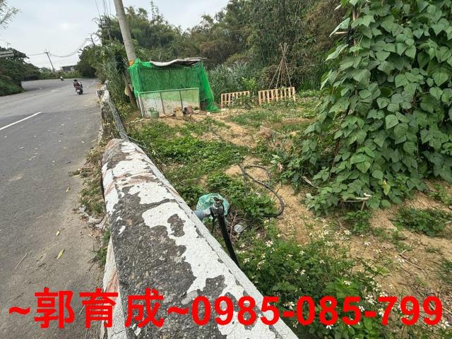 水上農地-6
