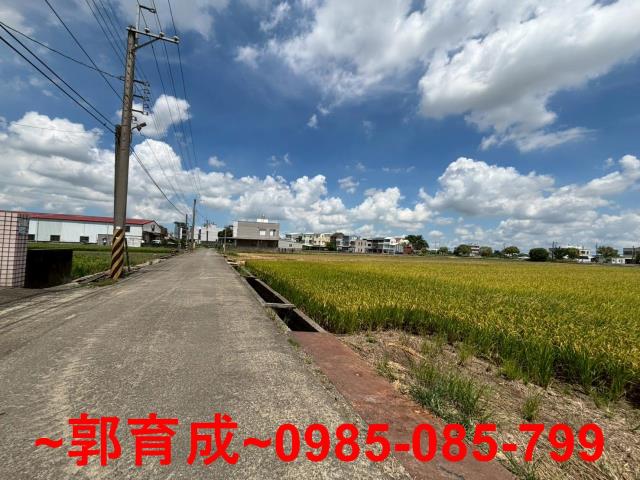嘉義農地-6