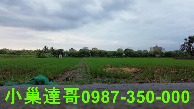 西區農地-7