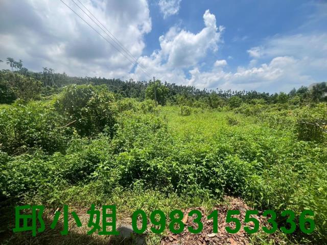 中埔農地-10