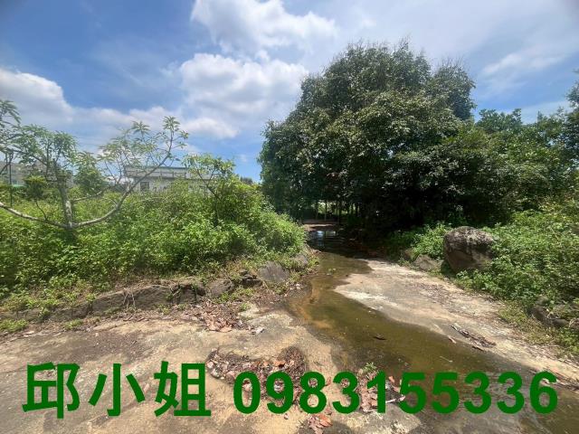 中埔農地-12