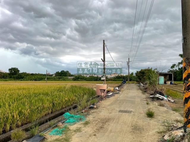西區農地-7