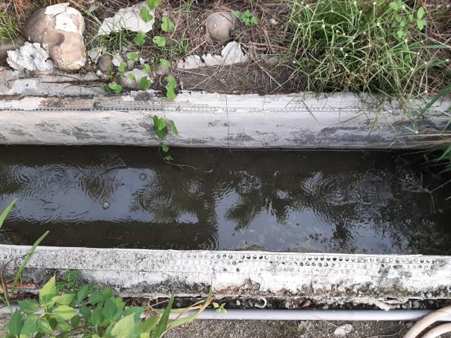 內埔農地-6
