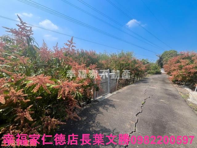 台南官田農地-3