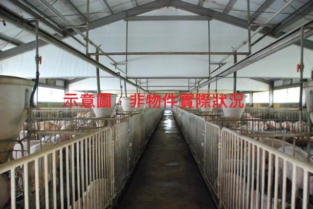 屏東屏東市農地-1