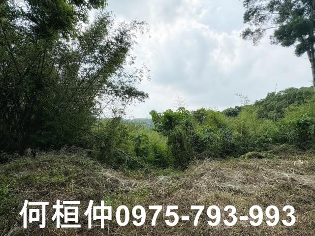 苗栗建地-7