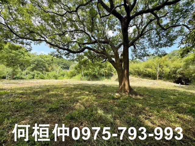 苗栗建地-9
