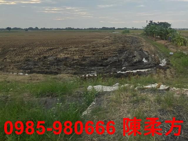 嘉義西區農地-1