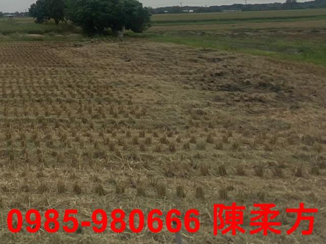 嘉義西區農地-6