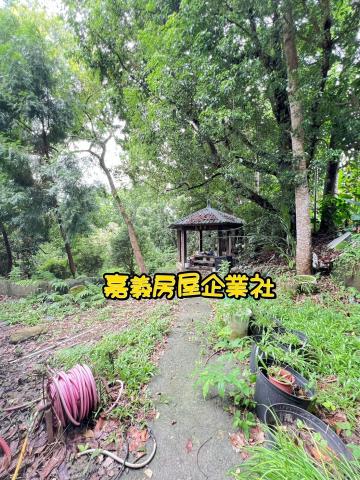 嘉義農地-10