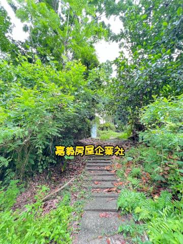 嘉義農地-11