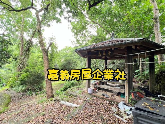 嘉義農地-3