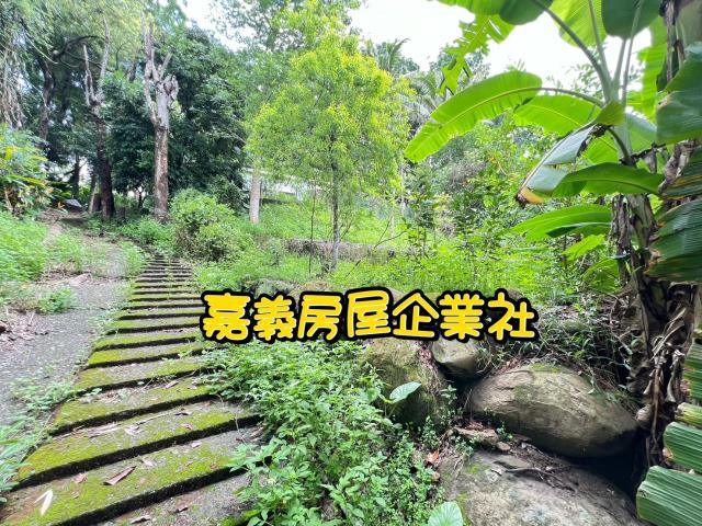 嘉義農地-5
