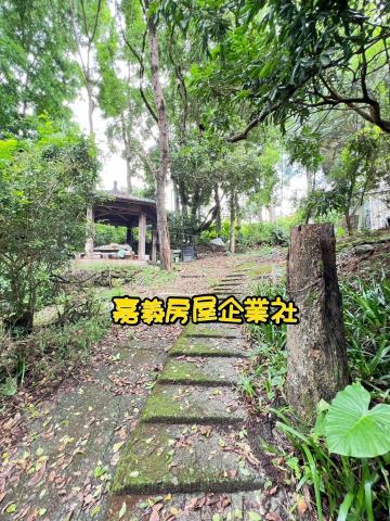 嘉義農地-6