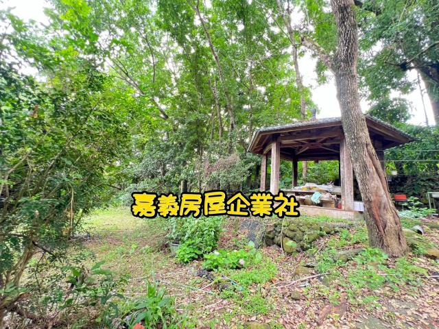 嘉義農地-7