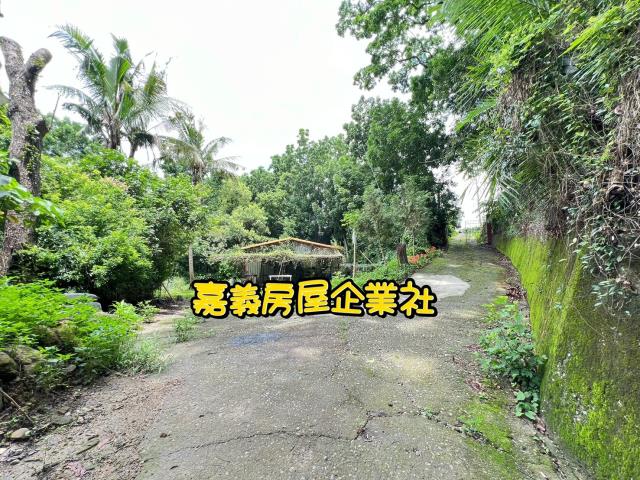 嘉義農地-8