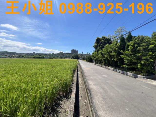 大溪農地-4