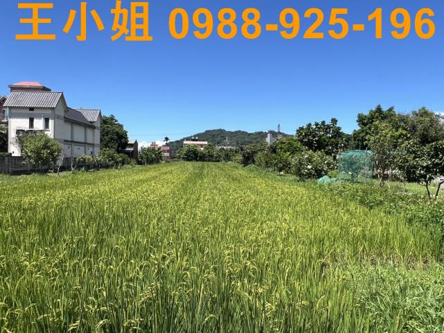 大溪農地-6