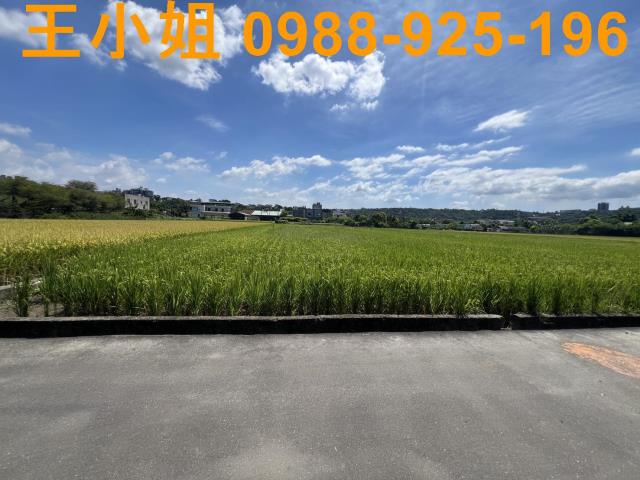 大溪農地-7