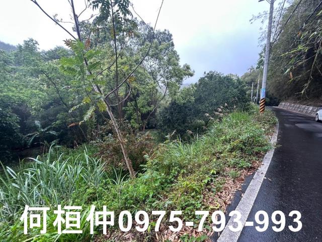 苗栗銅鑼休閒地-6