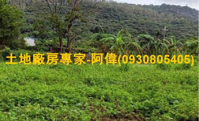 高雄阿蓮農地-1