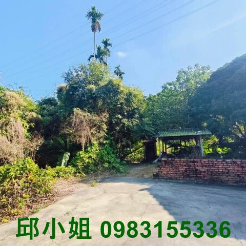 嘉義農地-10