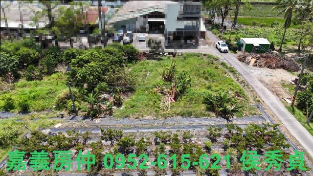 嘉義西區農地-1