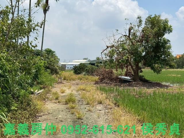 嘉義西區農地-1