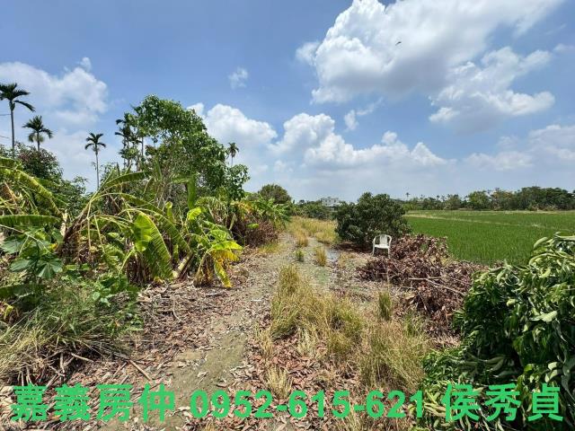 嘉義西區農地-3