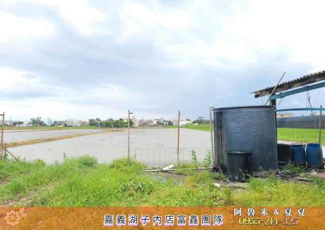 民雄農地-4