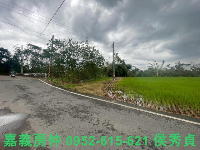 東區農地-3