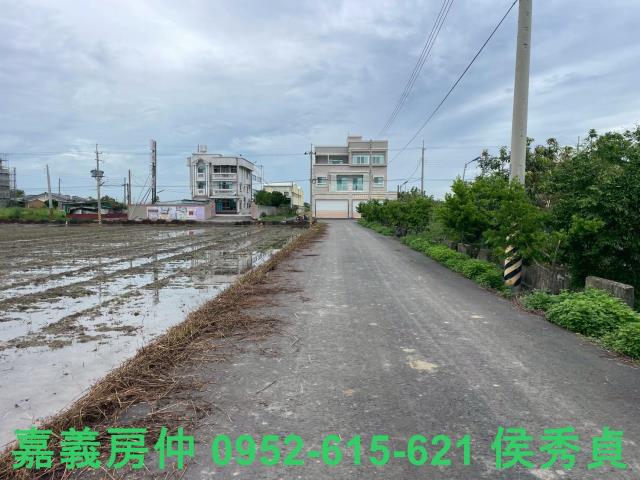 嘉義民雄農地-9
