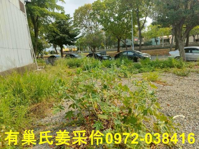 西區建地-1