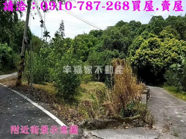 嘉義農地-15