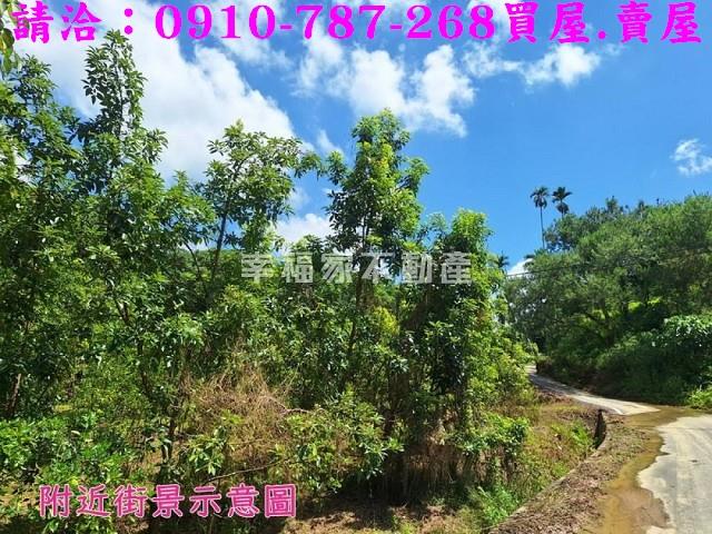 嘉義農地-2