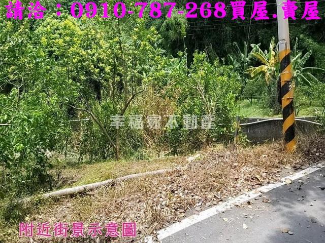 嘉義農地-3