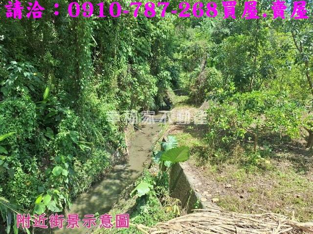 嘉義農地-4