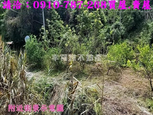 嘉義農地-5