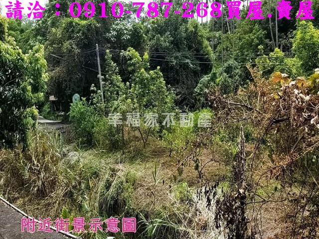 嘉義農地-6