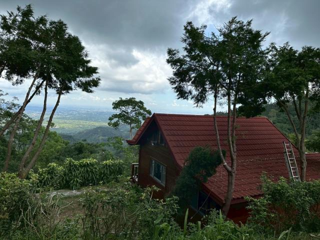 嘉義番路山坡地-12